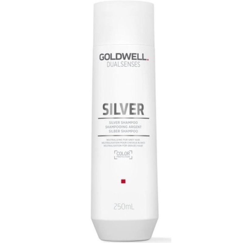 Goldwell Dualsenses Silver Shampoo 250 Ml For Blonde And Gray Hair